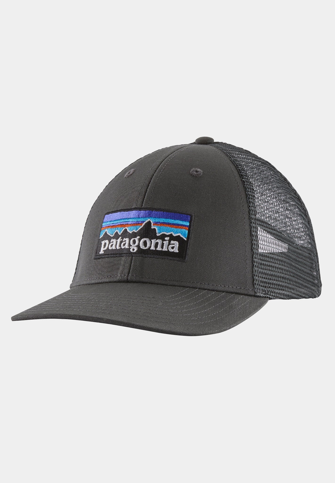 Patagonia - P - 6 Logo LoPro Trucker Hat - BACKYARD